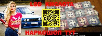 винт Кингисепп