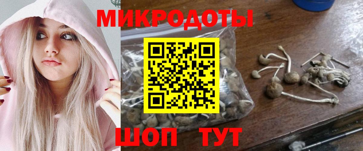 Киселёвск  Галлюциногенные грибы Cubensis  Вход с VPN 